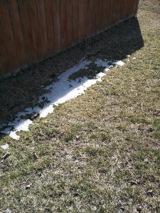 A few weeks ago, the last bit of snow in the yard.