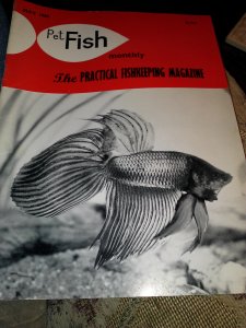 I bought afish tank at the auction, and some plants but my favorite purchase was astack of this magazine from 1969 to 1971. Practical Fishkeeping!!