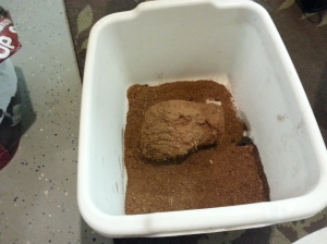 I mixed the top soil with Coir, which is coconut-husk fiber. This keeps the soil damp yet loose.