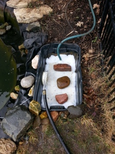 After about 6 hours of backbreaking work, I am filling the pond.