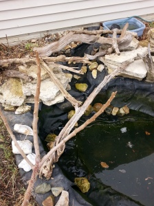 As it fills, I made some minor adjustments to the stream, tucking a few rocks here and there.